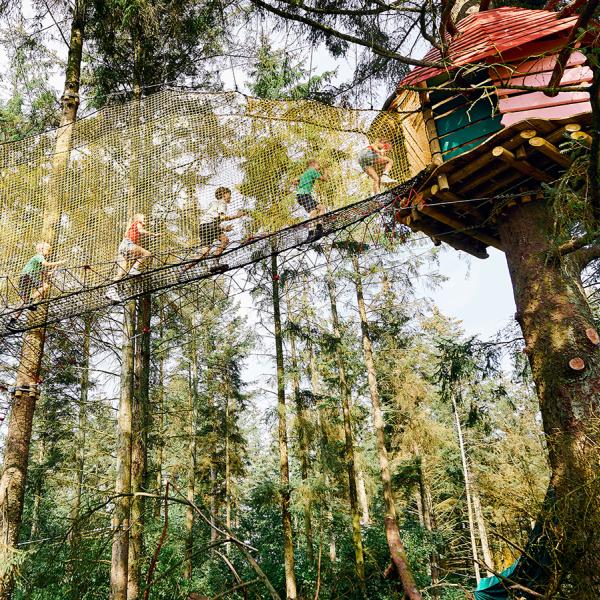 Visit the wildest play park in the forest. Like these children, try running along the bridges from treehouse to treehouse. An active holiday for families with children. 