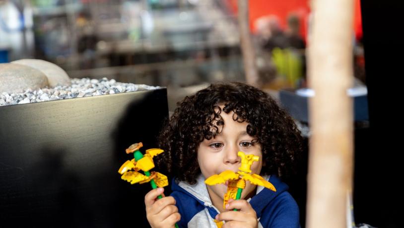 Dreng er i LEGO House og ser på påskeliljer lavet ud af LEGO