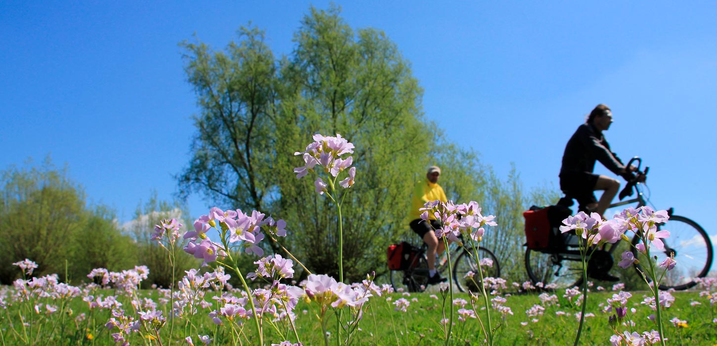 Bed&Bike i Kolding
