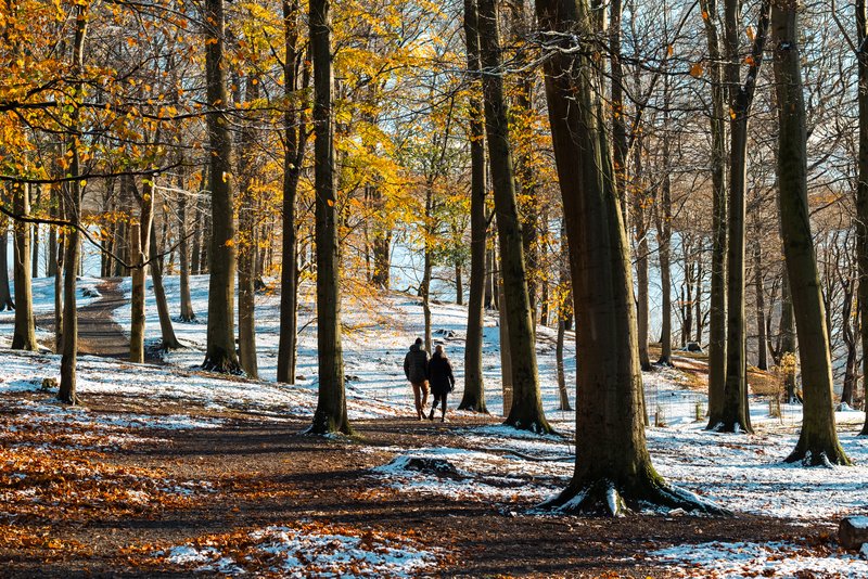 Vinter