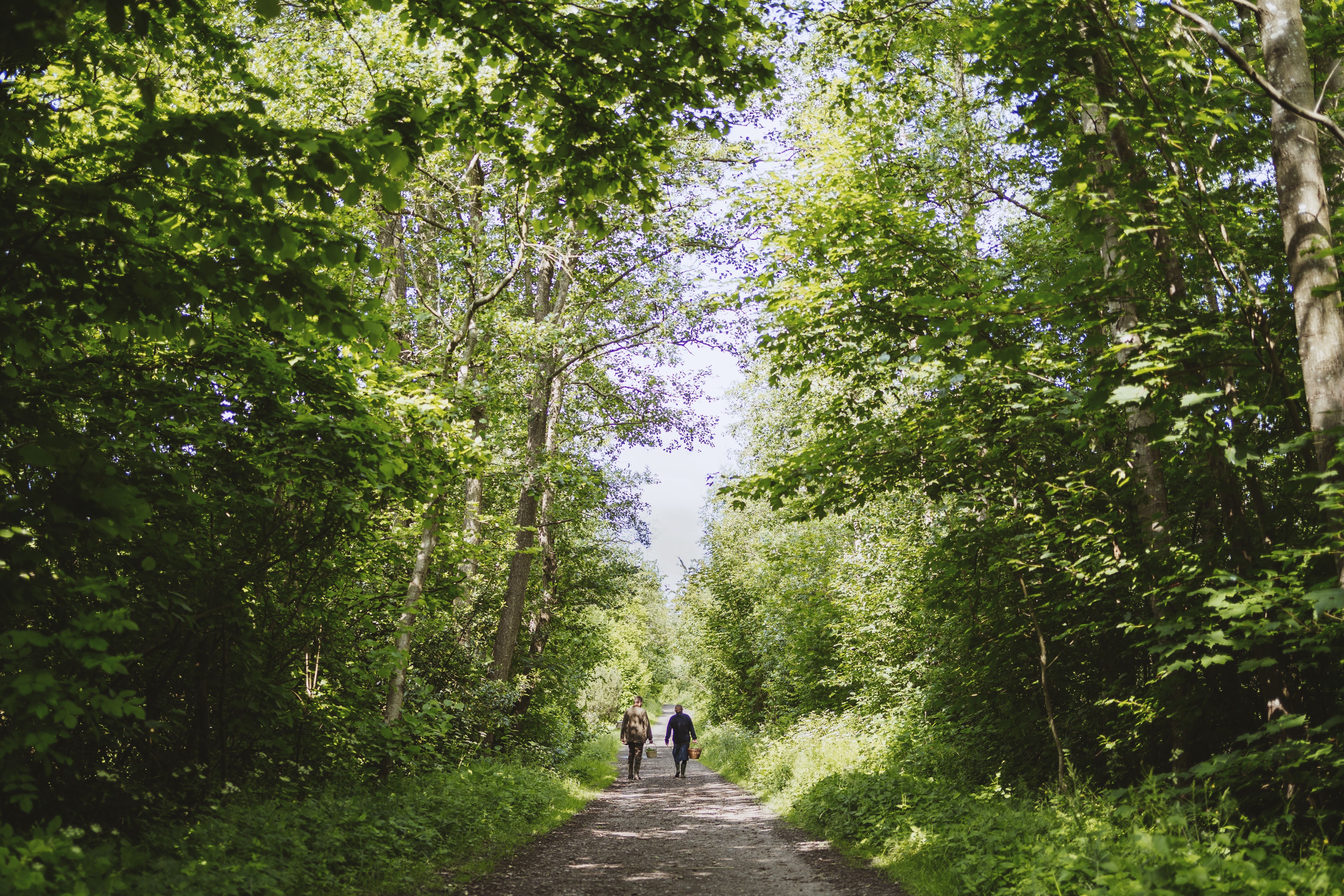 Cykeltur