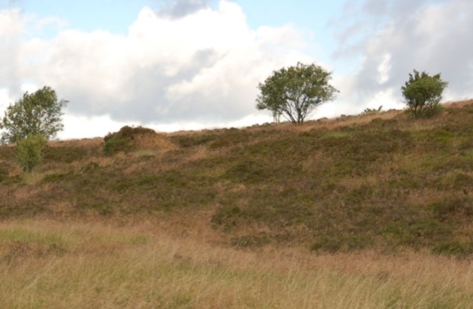 Lyng Billund