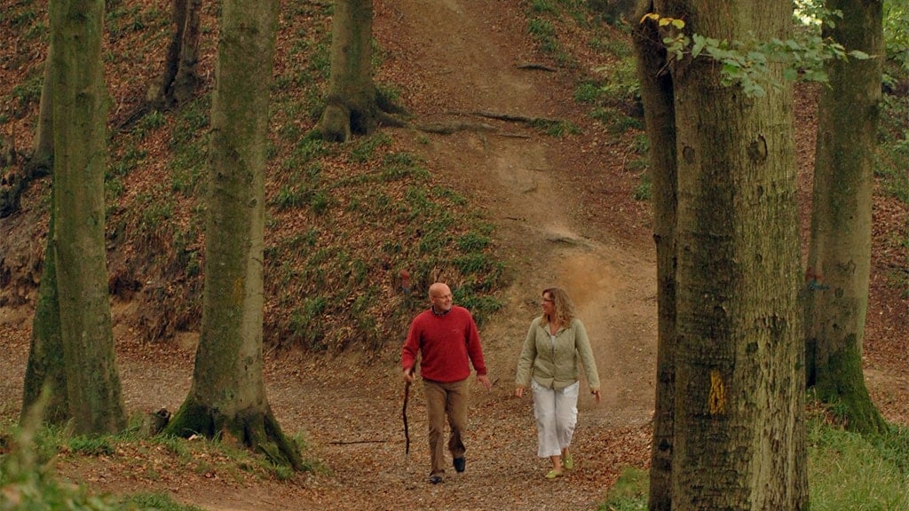 Munkebjerg Skov