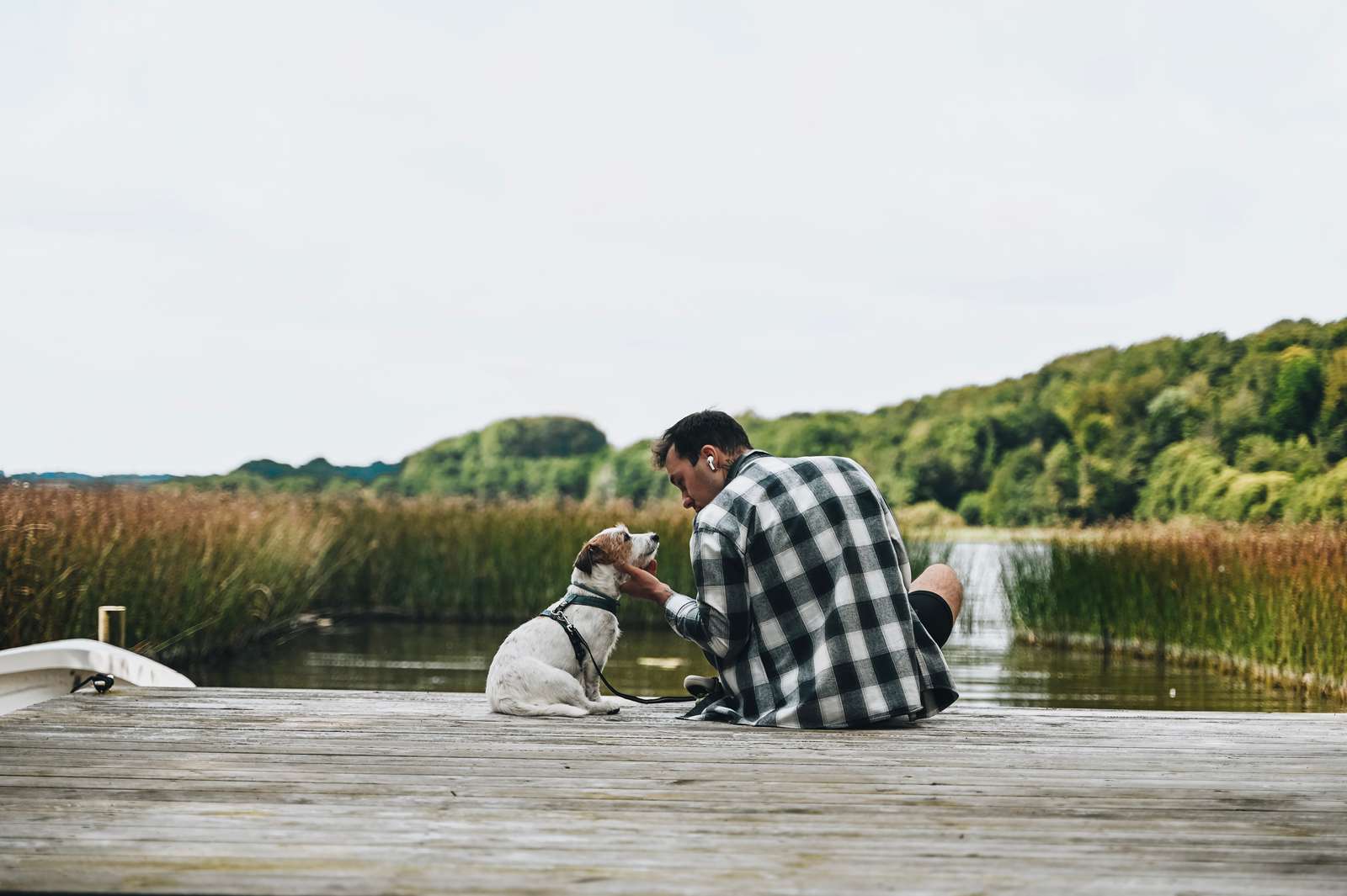 Fårup Sø Hund