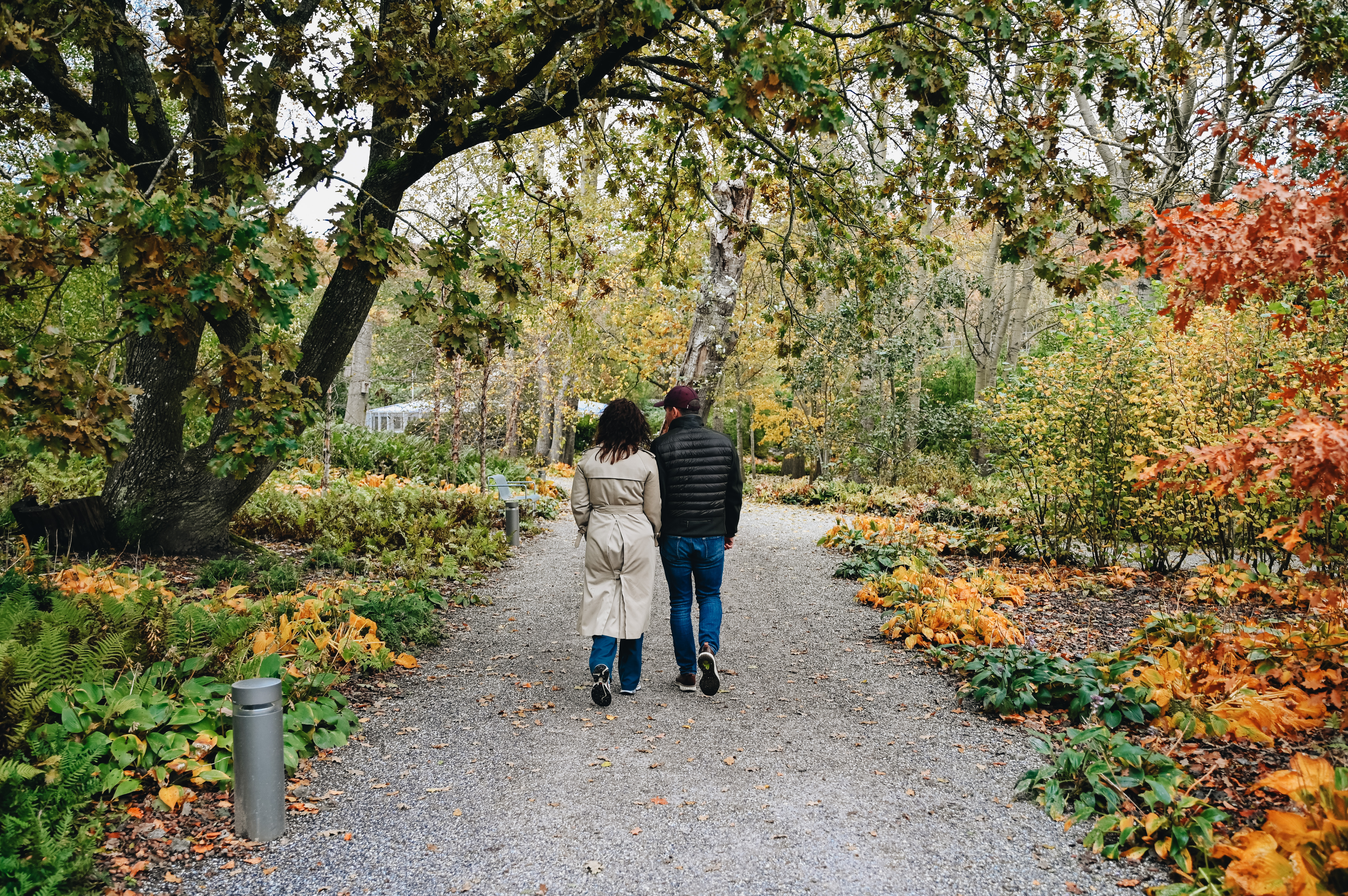 Par Vejle Efterår Skyttehushaven