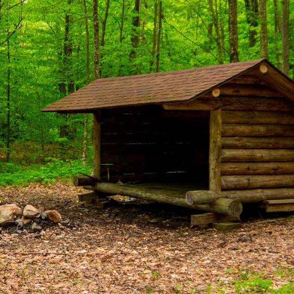 Shelter i skoven ved Kolding