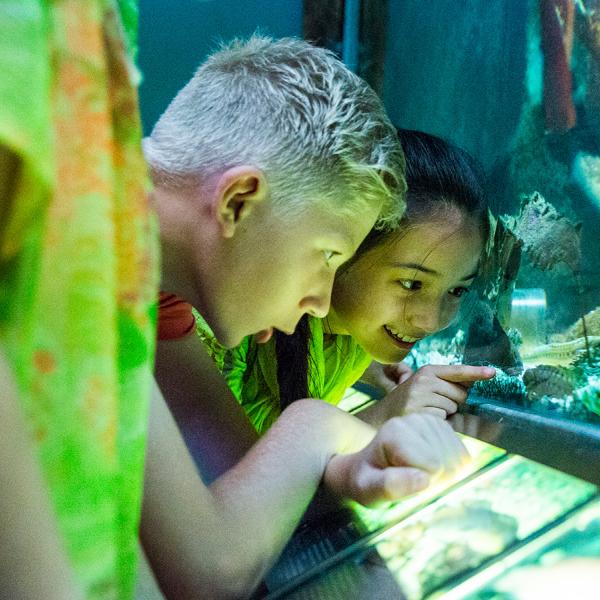 Learn more about the climate. Explore e.g. the aquatic environment, just one of the many exciting interactive exhibitions for families with children at the Økolariet. LEGOLAND® Billund Resort has attractions for children and their parents. Have an active family holiday with the children. 