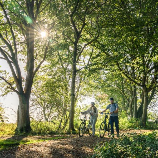 Fredericia cykler sommer