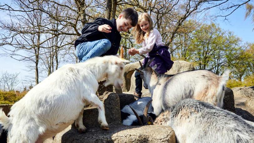 Børn i dyrefolden i Geografisk Have i Kolding