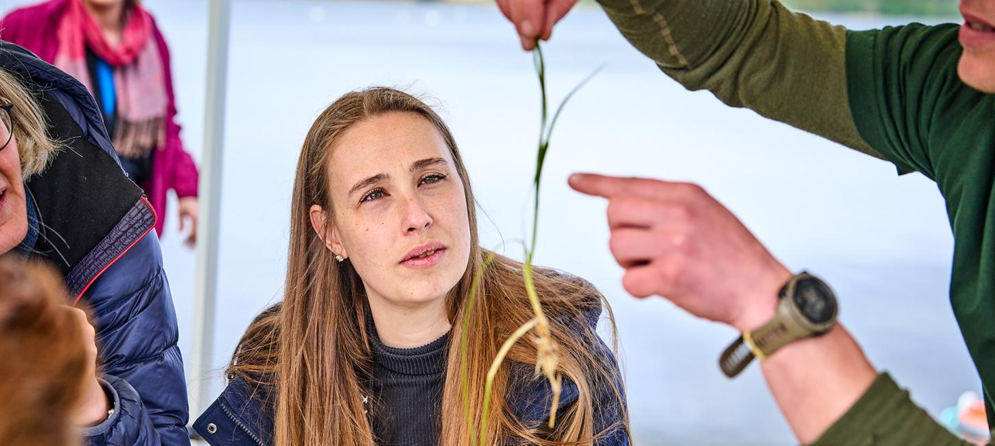 Regeneration af ålegræs i Naturpark Lillebælt