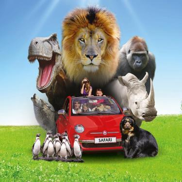Do what this family is doing. Go on safari in your car and look at rhinos, wolves and lions. Or explore the dinosaur park or stop by the gorillas, spectacled bears or penguins.