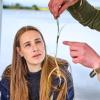 Regeneration af ålegræs i Naturpark Lillebælt