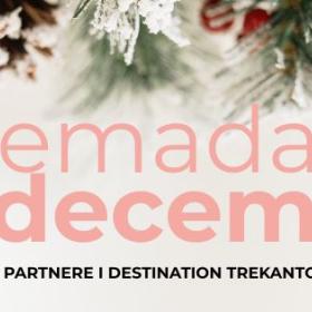 Temadag