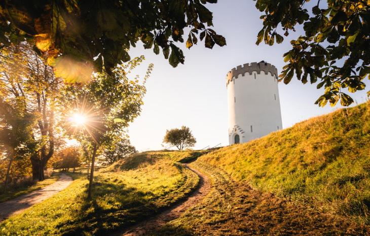 Fredericia Vold